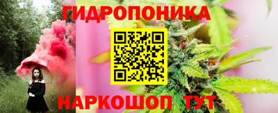 гашик Донецк