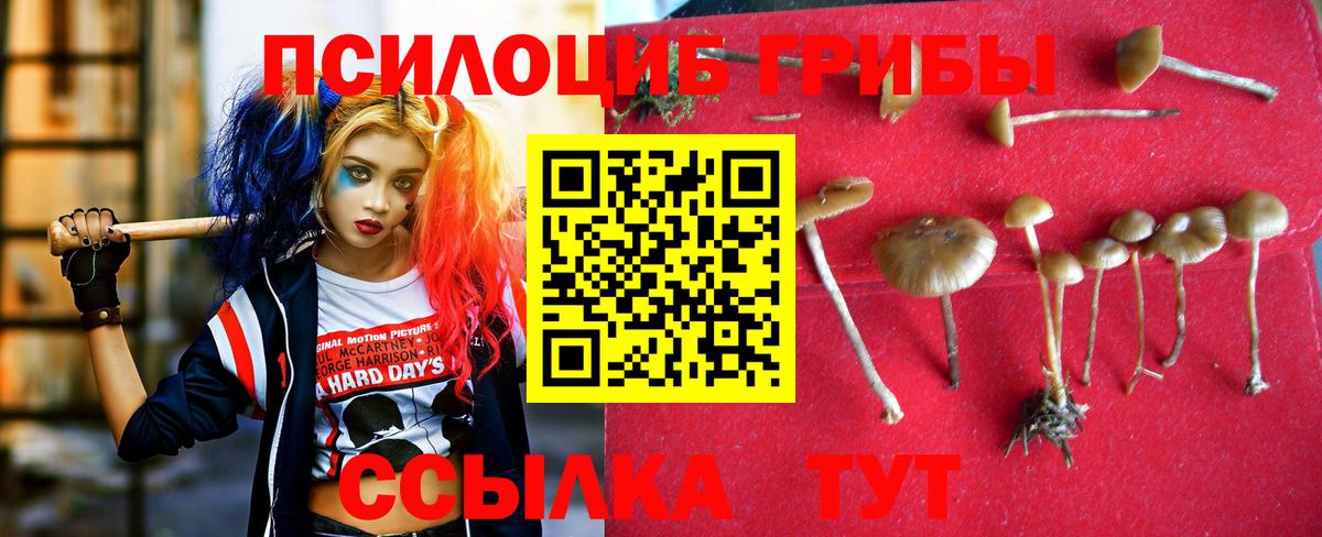 Находка  Псилоцибиновые грибы Psilocybine cubensis  Галлюциногенные грибы Magic Shrooms  Вход с VPN 