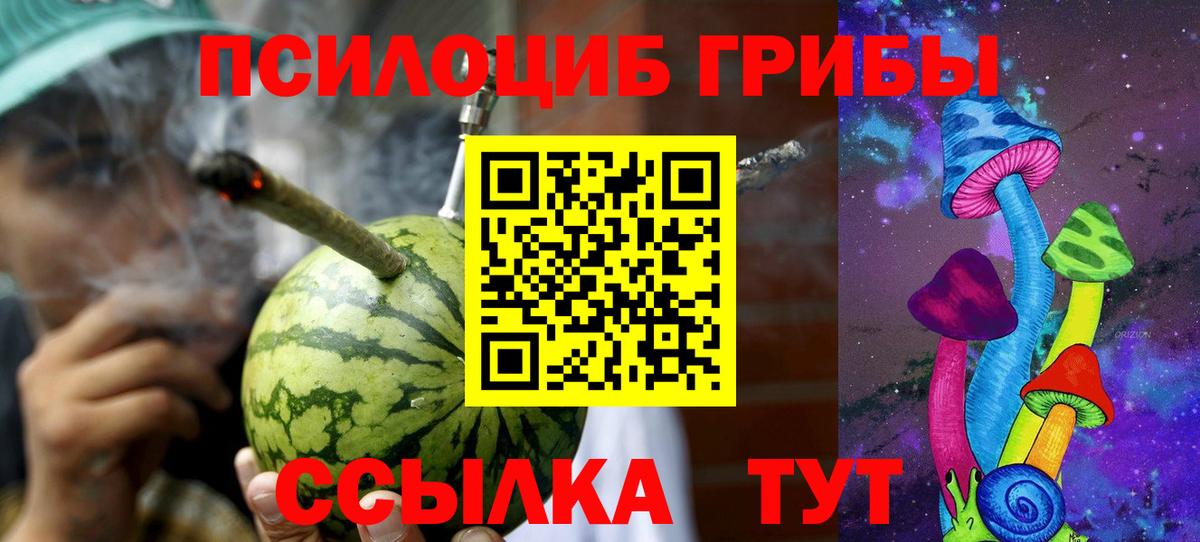 Псилоцибиновые грибы прущие грибы Находка